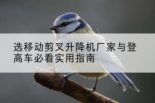 潘集电动升降机厂家-选移动剪叉升降机厂家与登高车必看实用指南