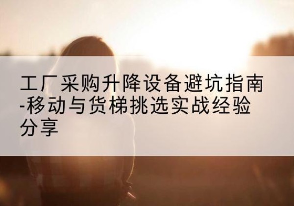 潘集移动式升降机怎么选-工厂采购升降设备避坑指南-移动与货梯挑选实战经验分享