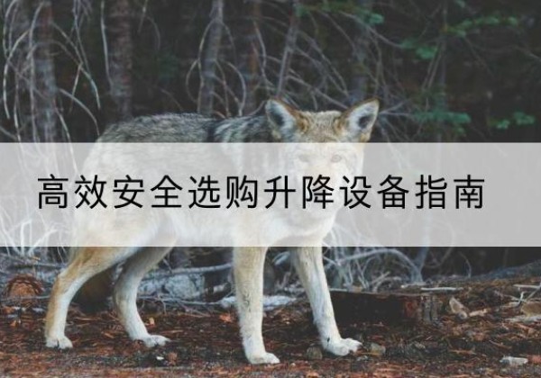潘集升降货梯厂家推荐-*安全选购升降设备指南