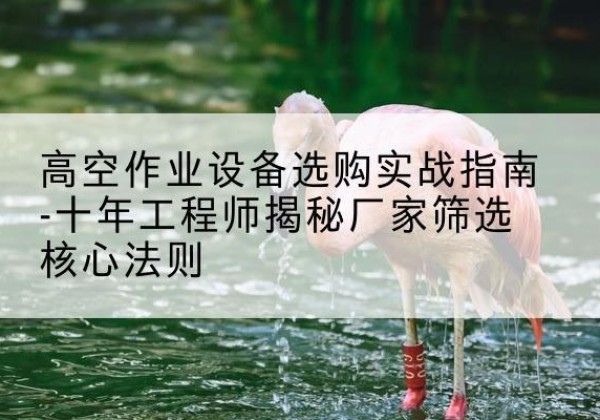 潘集剪叉式升降机厂家-高空作业设备选购实战指南-十年工程师揭秘厂家筛选核心法则